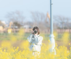 現役動画クリエイターが動画編集承ります イメージ1
