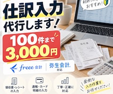 仕訳100件までの会計ソフト入力を代行します イメージ1