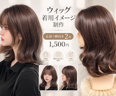 ウィッグの商品画像・着用イメージを制作します イメージ1