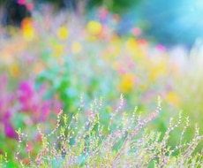 あなたのお話聞きます イメージ1