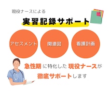 急性期に特化した看護師が看護過程を全力サポートます アセスメント、看護計画、関連図、何でも任せてください！