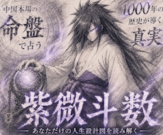 本場の紫微斗数であなたの運勢を鑑定します イメージ1