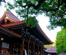 写真を提供します イメージ1