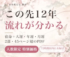 あと4名の特価で宿命鑑定書と12年の運勢を作ります イメージ1