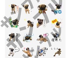 かわいい愛犬のLINEスタンプを作成します イメージ1