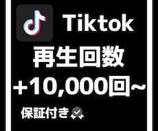 Tiktokの再生回数10000回増やします 格安でtiktokの再生回数伸ばします！