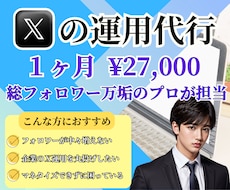 Xで集客増加!!1ヶ月間運用代行をします SNSプロがフォロワー/エンゲージメントを完全サポート