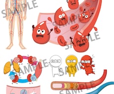 使いやすく分かりやすい！カラダのイラスト作成します 医療・健康系WEB・書籍に！わかりやすく説明をサポートします