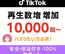 TikTok動画を宣伝+再生数を伸ばします イメージ1