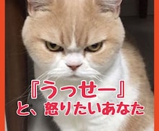 イライラしてる、怒りたいあなたのお話を聞きます イメージ1