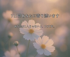 7日間あなたに寄り添います イメージ1