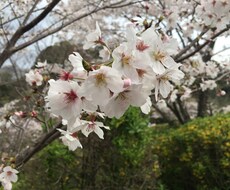恋愛相談、愚痴、どんなお話でも聞きます 恋愛相談身内の相談どんな事でも気軽に連絡ください