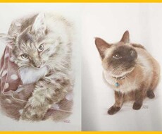 あなたのペット、動物、猫、犬、鳥、何でも描きます プレゼント選びにお困りの方にオススメ！