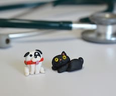 自分らしさを大切にした就職・転職、相談乗ります イメージ1
