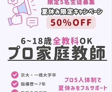 プロ家庭教師5人で夏休みをフルサポートします イメージ1