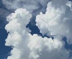 あなたの希望の歌詞を制作します イメージ1