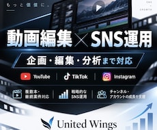 SNS運用・動画編集をサポートしますます イメージ1