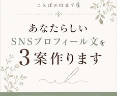 あなたらしいSNSプロフィール文を3案作ります 「何を書けばいい？」から、伝わるプロフィールに仕立てます