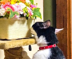 あなたの悩み、とことん傾聴いたします イメージ1
