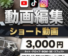 SNS向けのショート動画を作ります 納期厳守⭕️、修正対応⭕️、丸投げ⭕️