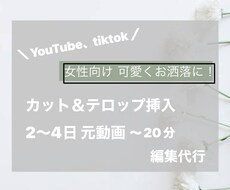 YouTube向けのお洒落な編集をします イメージ1