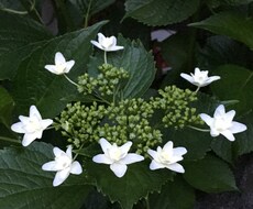 義理の家族の悩み伺います イメージ1