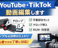 色々な動画編集いたします イメージ1
