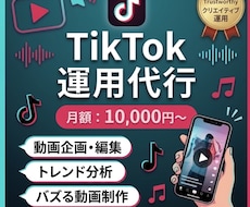 TikTok運用代行承ります イメージ1