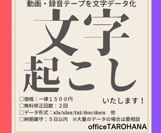 動画・音源から会話の文字起こしをいたします イメージ1