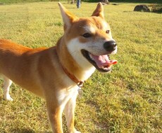 生きづらさを感じてる人、お話聞きます イメージ1