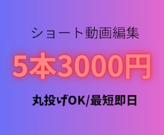 ショート動画5本3000円で編集します イメージ1