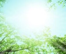 あなたの人生を劇的に変えます