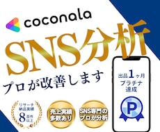 SNSコンサル｜プロが専門的な分析・改善案送ります 全業界分析可能✨️差別化して売上UPさせたい方向け