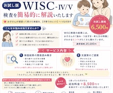 お試し版／WISC検査を簡易的に解説いたします 実績500件超の専門家が発達検査の結果を丁寧に読み解き説明！