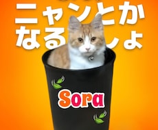 とにかく話を聞いて欲しい、なんか喋りたい方聞きます イメージ1