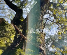 開運★龍神フォトと守護龍神のアドバイスを伝えます 波動を上げて願望成就へ導く★守護龍神様チャネリング