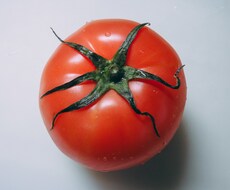 食事など気になっている方、栄養相談を承ります イメージ1