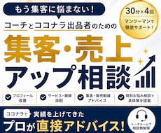 30分×4回ビデオチャットコンサルします ビデオチャットで直接相談！現状の壁を突破する