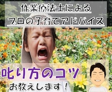 プロの子育てアドバイス／叱り方のコツをお教えします イメージ1