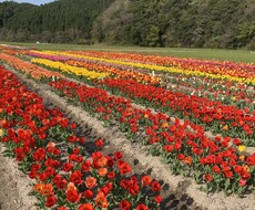 毎日頑張ってるあなたを全力で褒めさせていただきます イメージ1