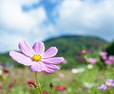 心理カウンセラーが今すぐお話聞きます 〜今すぐ誰かに聞いてほしいあなたに〜