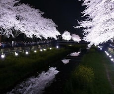 人に言えないことをトコトン聞きます なんかモヤモヤしている時に、お気軽に！