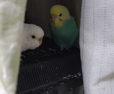 そのやり場のない愚痴、お聞きします 言いたいことを言って、すっきりしましょう！