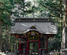 都内にて写真撮影代行致します イメージ1