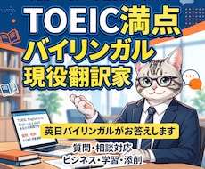 TOEIC満点のバイリンガルが質問・相談対応します イメージ1
