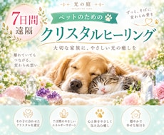 大切なペットを7日間クリスタルの光で癒します その子に合わせたクリスタルを選び、7日間やさしく寄り添います