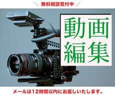 YouTubeやアニメーションの動画編集いたします イメージ1