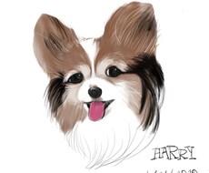 可愛い愛犬描きます イメージ1