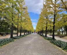 南東北の写真撮影をYOUに変わって代行します イメージ1