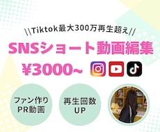 初心者OK￤SNS集客￤バズるPR動画編集します SNSでのファン作り、商品・ブランド・店舗PRをサポート◎